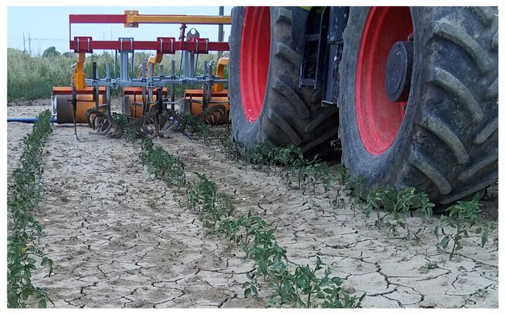 Rotosark with Rotoblizz Inter-Row Weeding – Mirco Ag Equipment