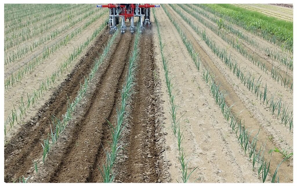 Rotosark with Rotoblizz Inter-Row Weeding – Mirco Ag Equipment