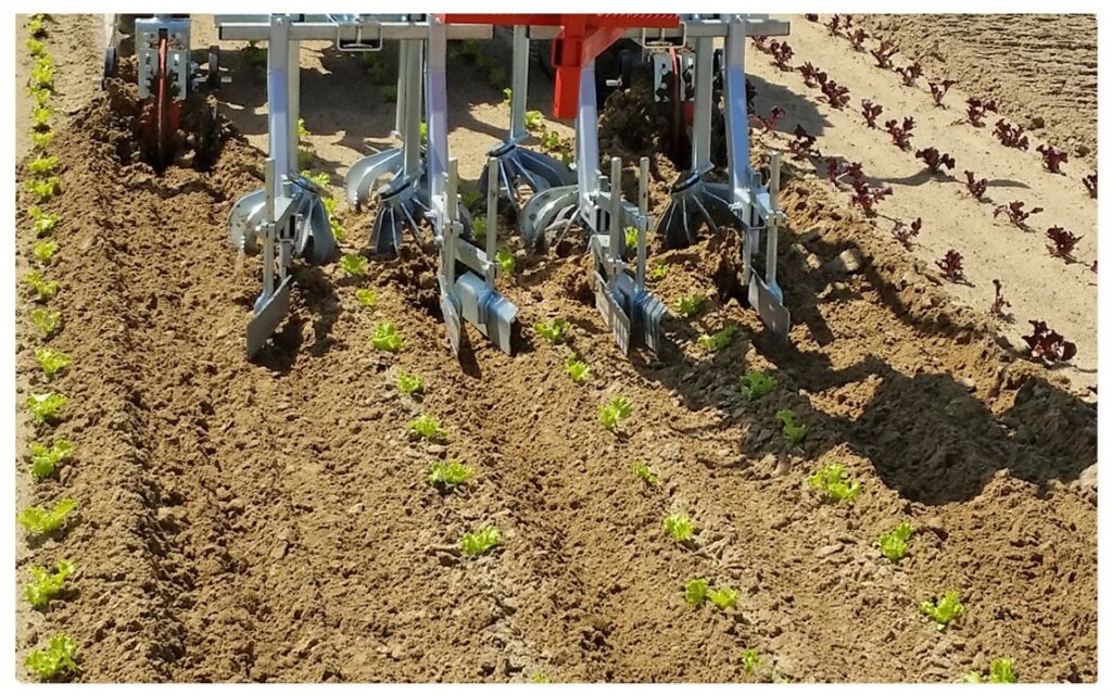 Rotosark with Rotoblizz Inter-Row Weeding – Mirco Ag Equipment