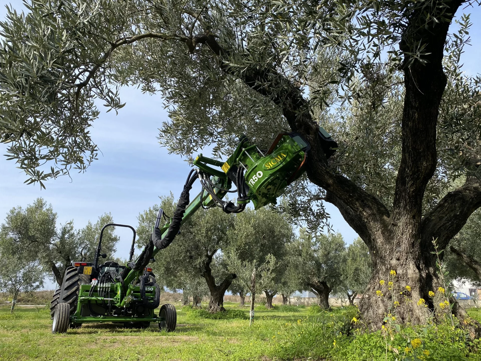 Sicma TR-50 Olive Harvester - 3PL