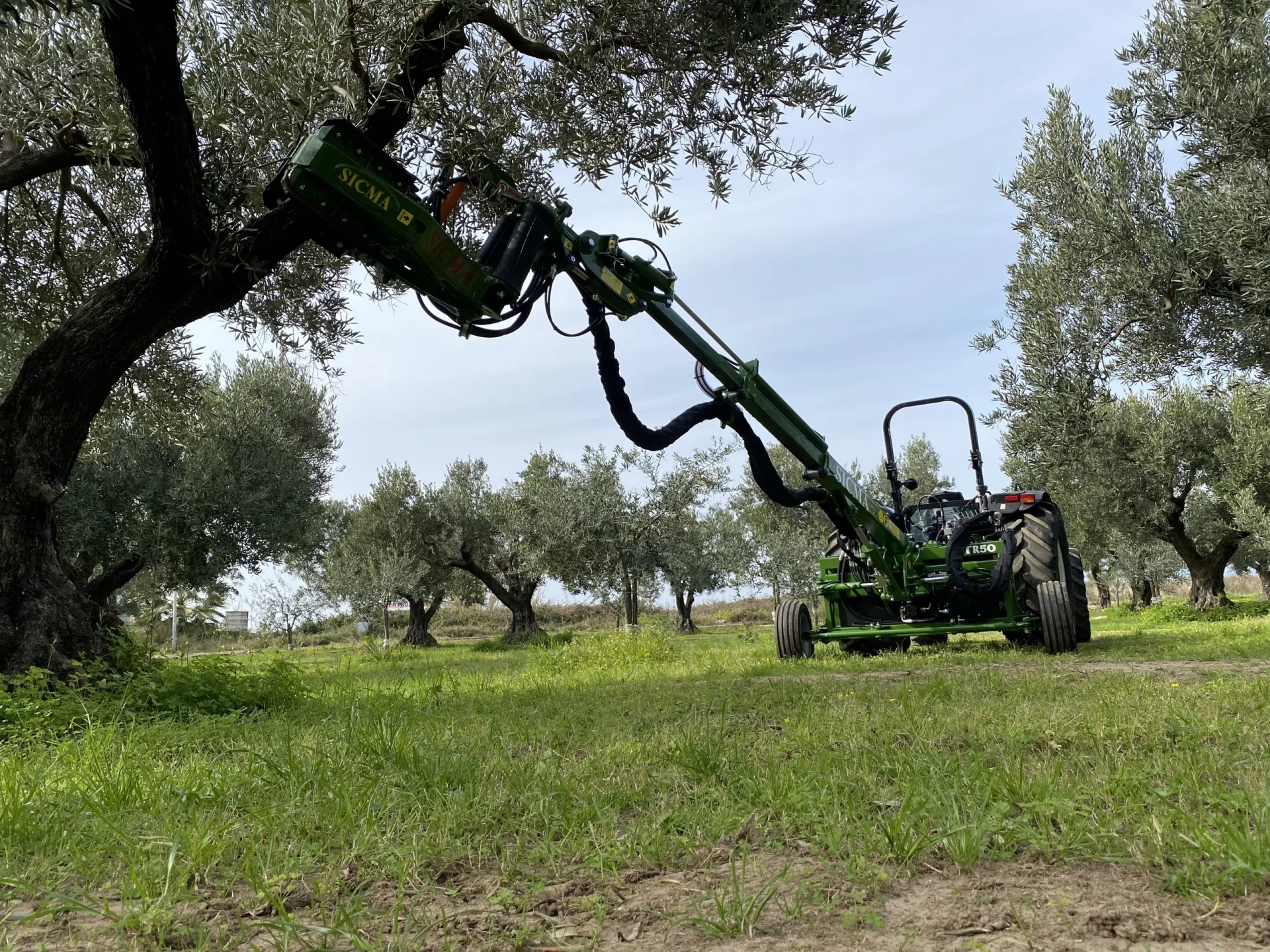 Sicma TR-50 Olive Harvester - 3PL - Image 4