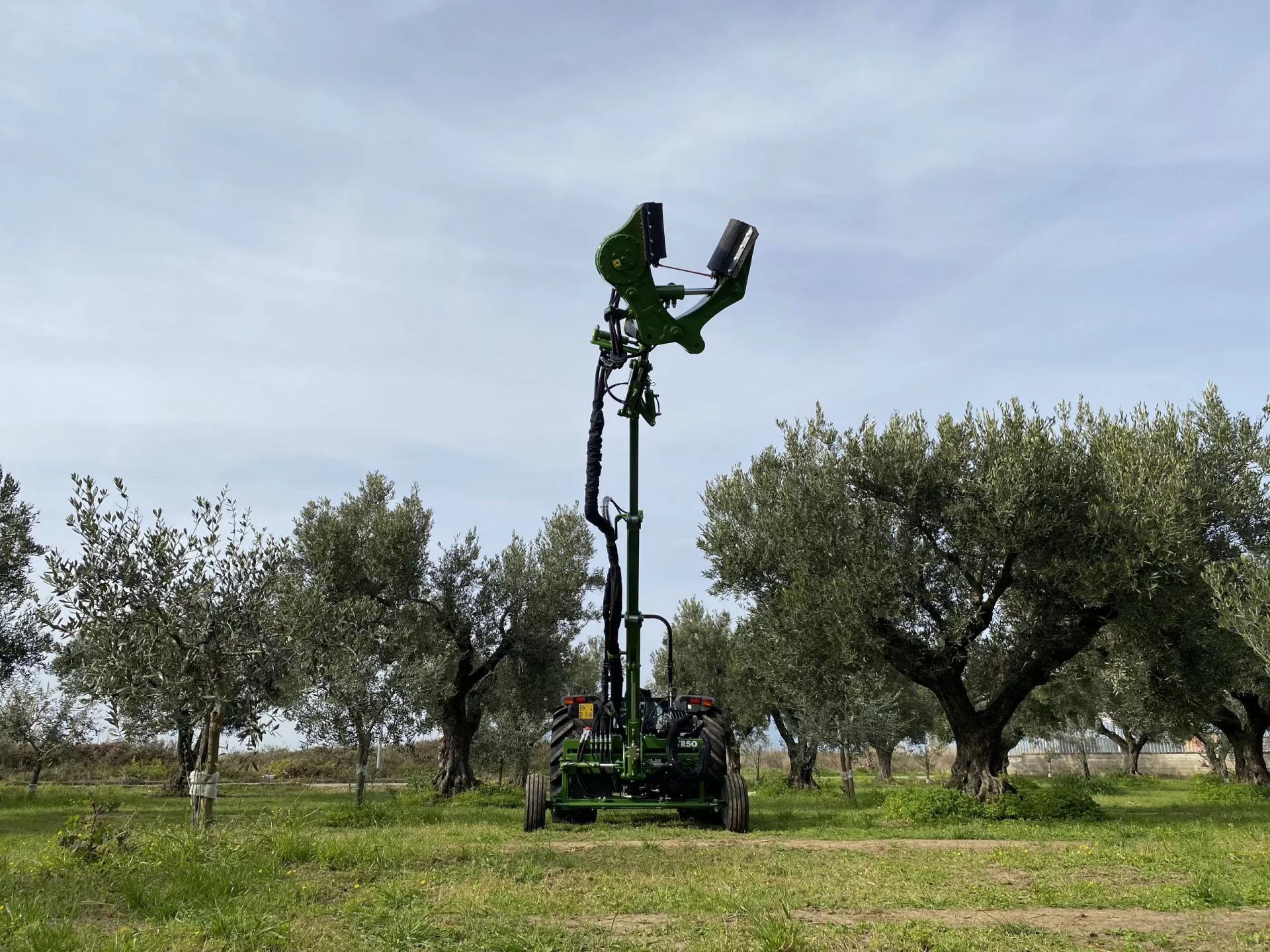 Sicma TR-50 Olive Harvester - 3PL - Image 2